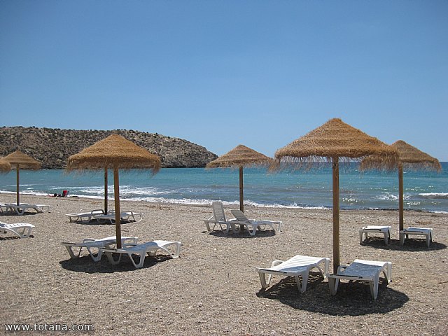 Comida fin de temporada Asociacion de Amas de Casa de las Tres Avemarias - 3