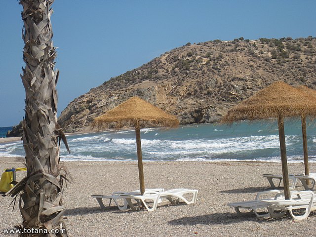 Comida fin de temporada Asociacion de Amas de Casa de las Tres Avemarias - 34