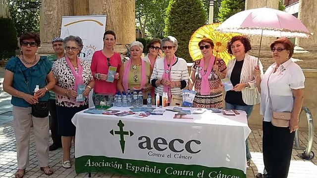 El Ayuntamiento desarrolla una campaña de sensibilización ciudadana contra los golpes de calor y las quemaduras solares - 1, Foto 1