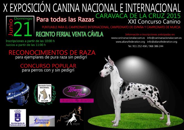 La exposición y concurso canino de Caravaca regresan al recinto ferial de Cavila este domingo - 1, Foto 1
