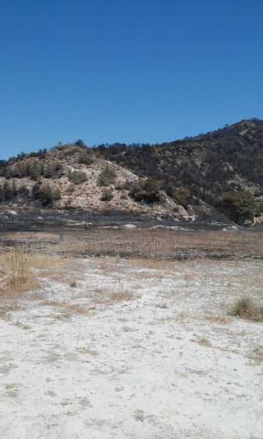Cambiemos Murcia lamenta el incendio de El Garruchal - 2, Foto 2