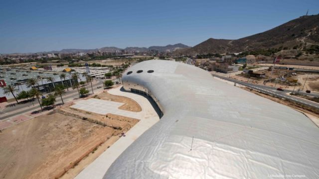 Los Bomberos retiran una chapa de la cubierta del Palacio de Deportes - 3, Foto 3