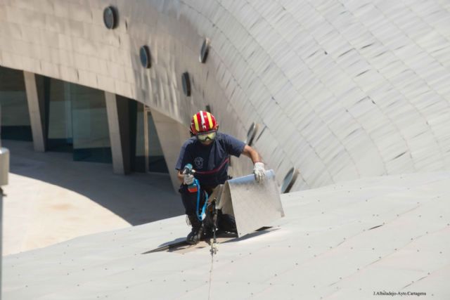 Los Bomberos retiran una chapa de la cubierta del Palacio de Deportes - 5, Foto 5