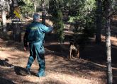 La Guardia Civil participa en el rescate de vecinos de un edificio incendiado y de un desaparecido en el campo