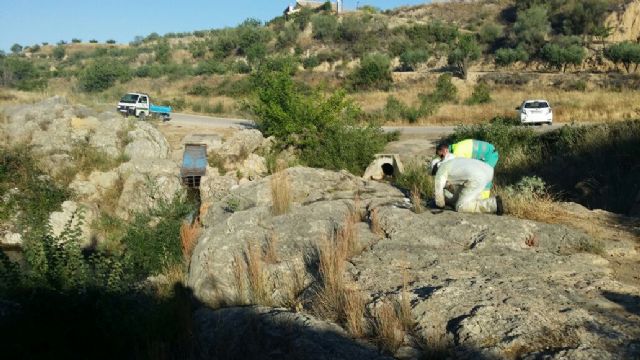 Los Servicios Públicos del Ayuntamiento de Bullas limpian las pintadas en el Pasico Ucenda - 3, Foto 3
