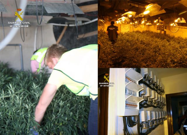 La Guardia Civil desmantela dos invernaderos clandestinos de marihuana en Murcia - 1, Foto 1