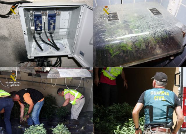 La Guardia Civil desmantela dos invernaderos clandestinos de marihuana en Murcia - 2, Foto 2