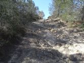 Medio Ambiente invierte un millón de euros en la reparación de 115,5 kilómetros de caminos forestales