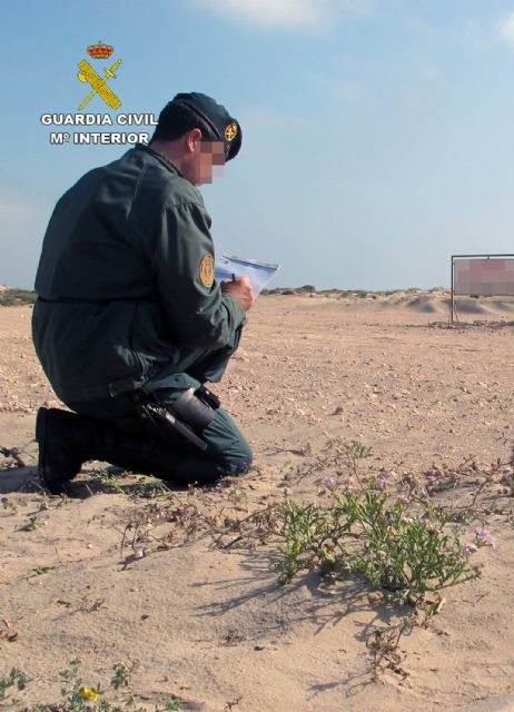 La Guardia Civil imputa a una persona por la roturación de una parcela malogrando vegetales silvestres protegidos - 2, Foto 2