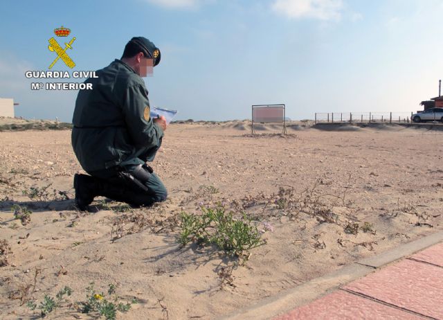 La Guardia Civil imputa a una persona por la roturación de una parcela malogrando vegetales silvestres protegidos - 5, Foto 5