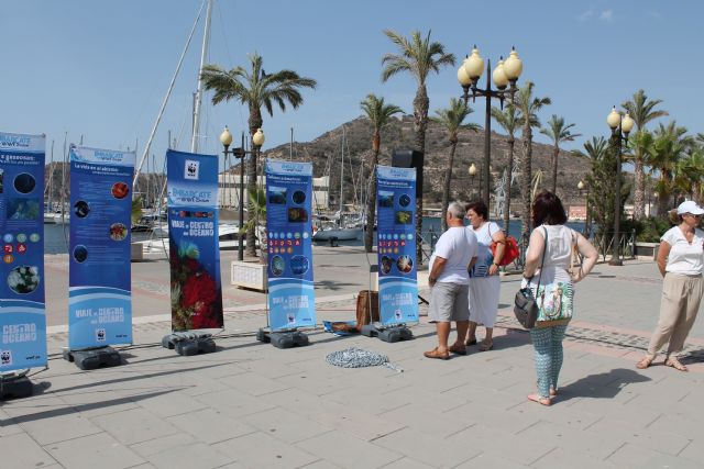 WWF invita a embarcarse para proteger los fondos marinos - 1, Foto 1