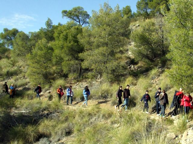 Medio Ambiente organiza mañana una ruta guiada nocturna en Sierra Espuña y El Valle - 1, Foto 1