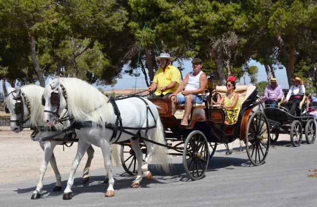 Los aficionados al enganche se dan cita en el XII Encuentro de Carruajes de San Pedro del Pinatar - 2, Foto 2