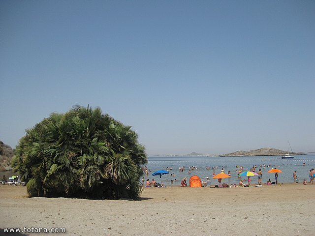 Comienzan los viajes a la Playa de la Cala del Pino (La Manga) organizados por el Centro de Personas Mayores - 9