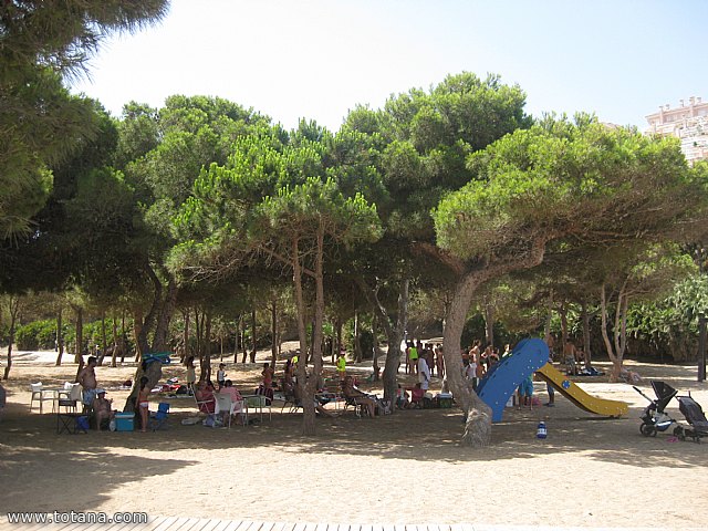 Comienzan los viajes a la Playa de la Cala del Pino (La Manga) organizados por el Centro de Personas Mayores - 12