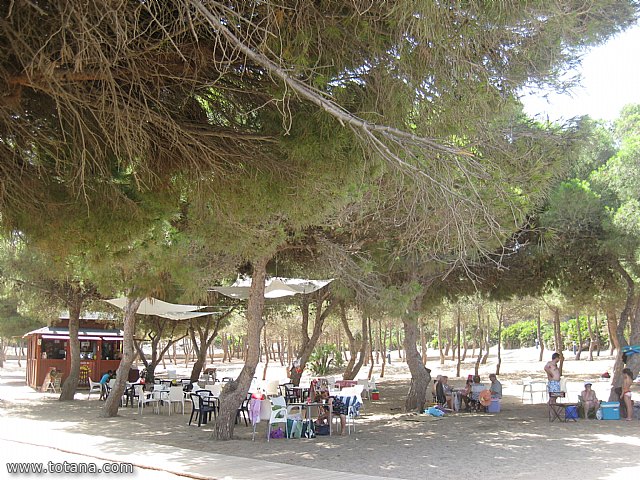 Comienzan los viajes a la Playa de la Cala del Pino (La Manga) organizados por el Centro de Personas Mayores - 13