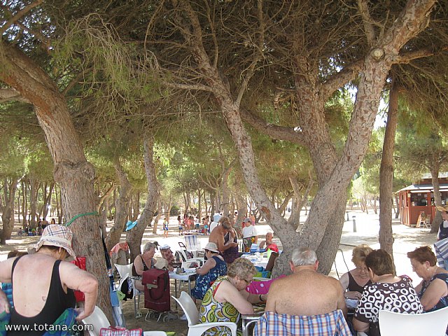 Comienzan los viajes a la Playa de la Cala del Pino (La Manga) organizados por el Centro de Personas Mayores - 16