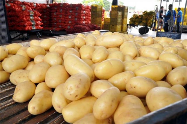 ASAJA muy preocupada por la crisis de precios en la patata murciana - 1, Foto 1