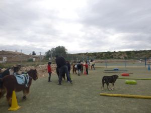 Still open the registration period for the "Workshop with ponies and horses", Foto 2