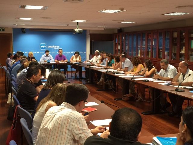 El PP de Caravaca quiere que los murcianos opinen en una consulta sobre la reforma de la Ley Electoral - 2, Foto 2