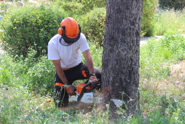 Voluntarios de Protección Civil y jardineros reciben un curso de manejo de motosierras - 2, Foto 2