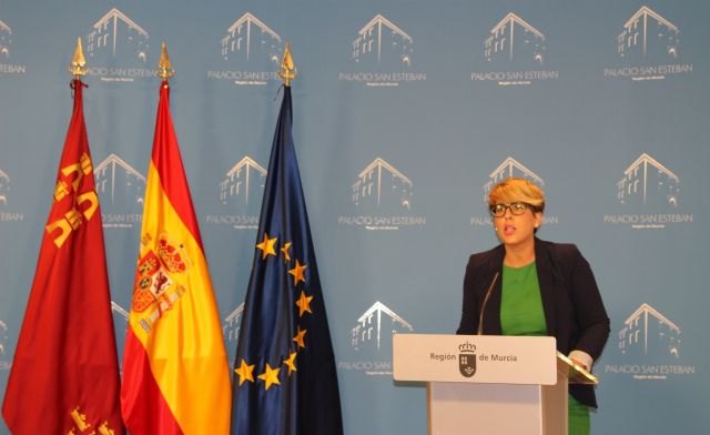 El Consejo de Gobierno impulsa la tramitación del Decreto de Participación Ciudadana - 1, Foto 1