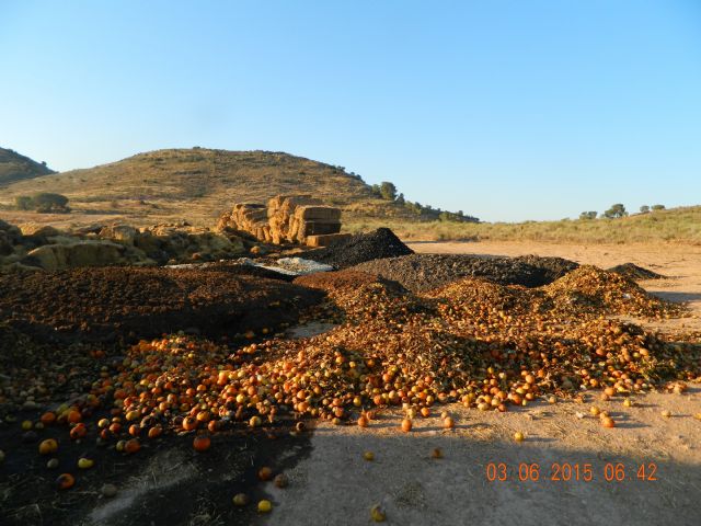 Ahora Murcia denuncia que Coto los Cuadros está invadido por moscas, ratas, basura y vertidos - 1, Foto 1