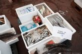 Nueve entidades benficas reciben 700 kilos de pescado por el Da del Carmen