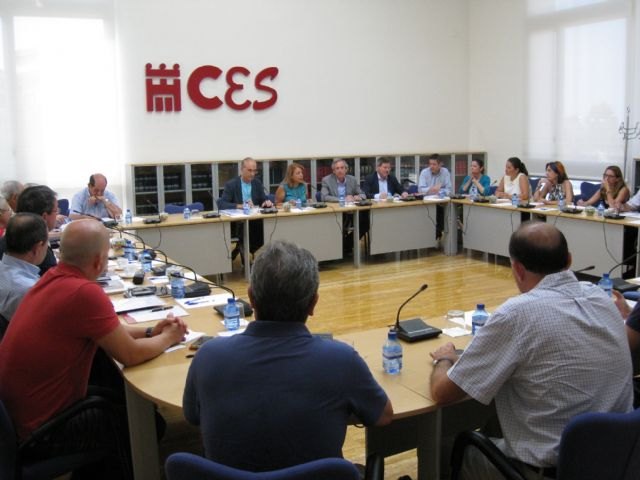 El Consejo Escolar de la Región de Murcia aprueba la memoria del curso 2013/2014 - 1, Foto 1