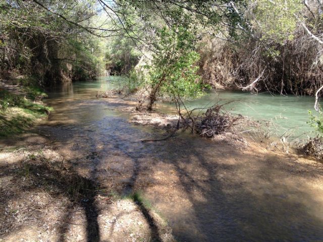 UMU y CHS sellan su colaboración en la lucha contra las especies invasoras en la cuenca del Segura - 2, Foto 2