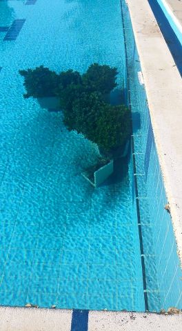 Denuncian actos vandlicos en las piscinas del Complejo Deportivo 