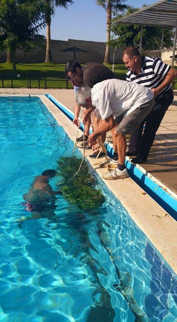 Denuncian actos vandálicos en las piscinas del Complejo Deportivo Guadalentín de la pedanía de El Paretón-Cantareros - 1, Foto 1