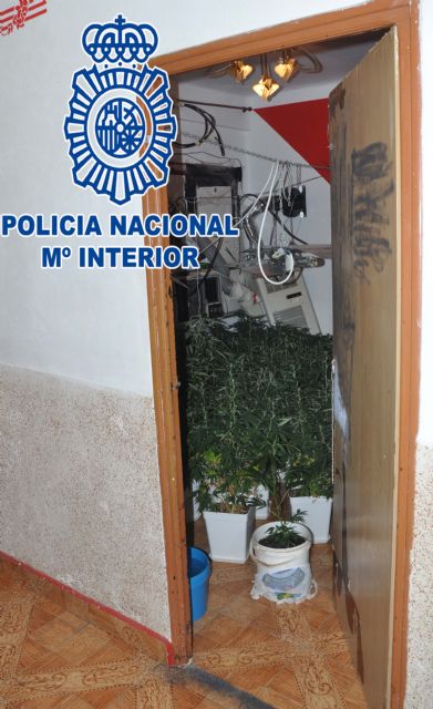 La Policía Nacional detiene a dos personas por tráfico de drogas y defraudación de fluido eléctrico - 1, Foto 1