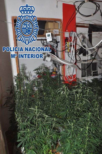 La Policía Nacional detiene a dos personas por tráfico de drogas y defraudación de fluido eléctrico - 2, Foto 2