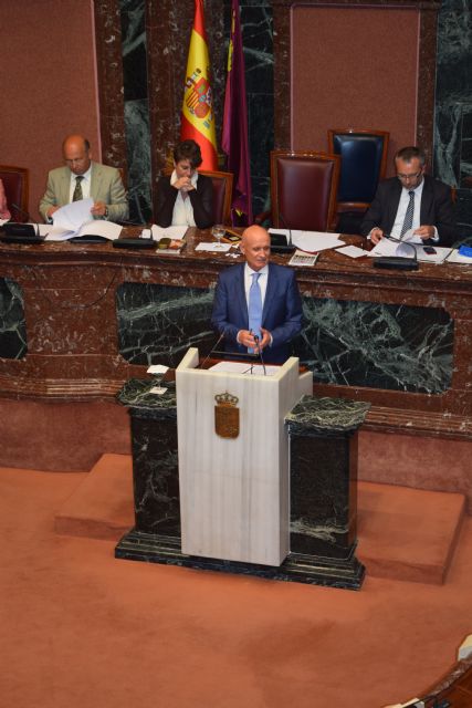 La Región de Murcia tendrá un Plan de Atención Integral a las Enfermedades Raras - 1, Foto 1