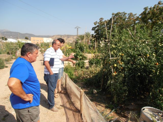 El concejal de Medio Ambiente visita los Huertos Ecolgicos Familiares, Foto 2