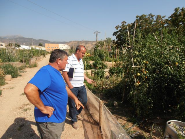 El concejal de Medio Ambiente visita los Huertos Ecolgicos Familiares, Foto 3
