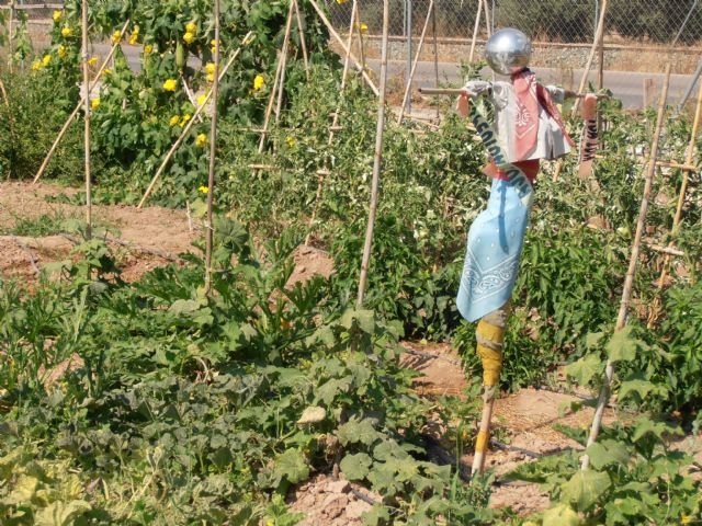 El concejal de Medio Ambiente visita los Huertos Ecolgicos Familiares, Foto 5