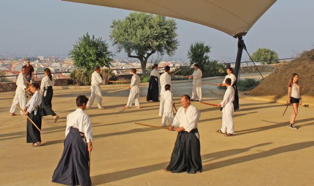 El Castillo de Nogalte, enclave del Arte Marcial Aikido con cerca de una treintena de participantes franceses - 2, Foto 2