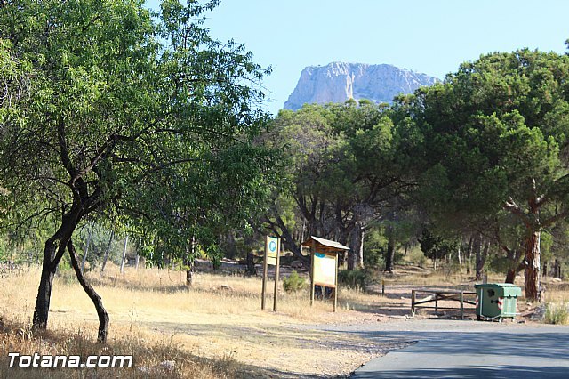 El PSOE pide la rehabilitación de un tramo de carretera del Parque Regional de Sierra Espuña, Foto 1