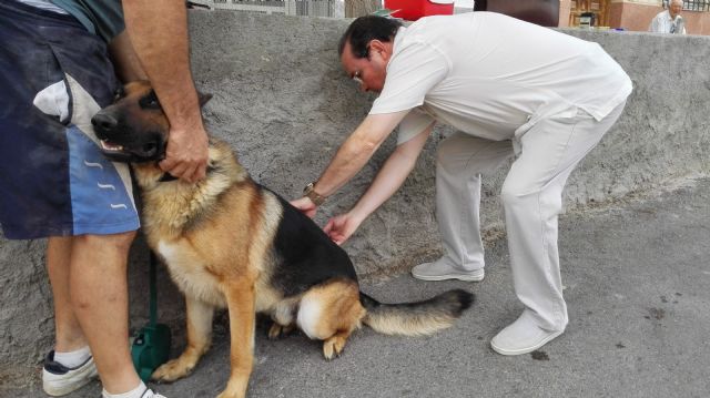 La Campaña Oficial de prevención contra la rabia en animales de compañía realizada en las pedanías se completa con 138 vacunaciones - 1, Foto 1