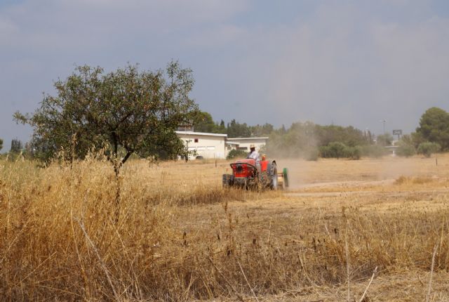 El Ayuntamiento torreño realiza labores de desbroce y limpieza en el Parque de la Emisora - 1, Foto 1