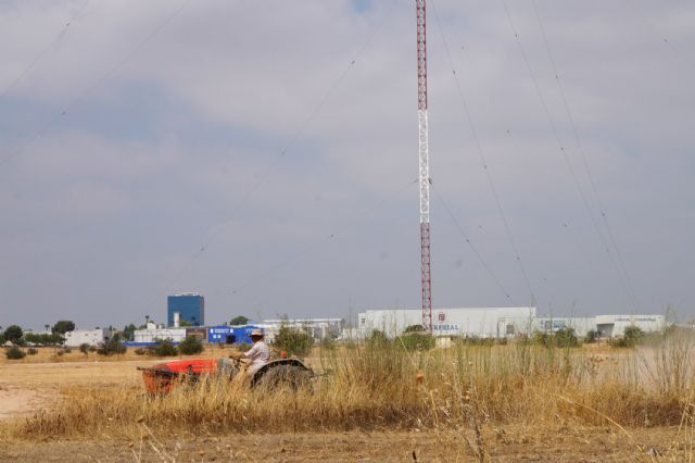 El Ayuntamiento torreño realiza labores de desbroce y limpieza en el Parque de la Emisora - 2, Foto 2