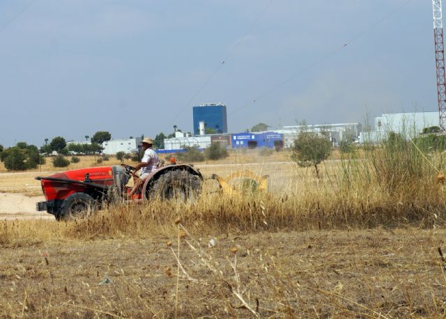 El Ayuntamiento torreño realiza labores de desbroce y limpieza en el Parque de la Emisora - 3, Foto 3