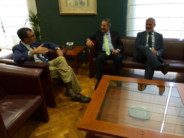 El director general de Telefónica visita al alcalde de Murcia - 1, Foto 1