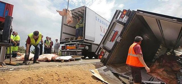 Alternativa Socialista exige un frente institucional en la Comunidad, para proteger a los transportistas de la región en Francia - 1, Foto 1