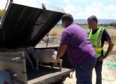 La Guardia Civil esclarece el robo de una treintena de corderos en fincas ganaderas de Lorca