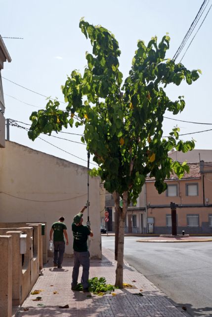 Los alumnos del programa de empleo y formación juvenil sobre jardinería y agricultura colaboran en las podas municipales - 1, Foto 1