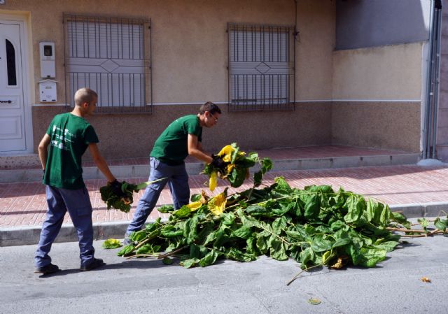 Los alumnos del programa de empleo y formación juvenil sobre jardinería y agricultura colaboran en las podas municipales - 2, Foto 2