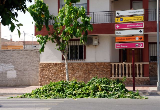 Los alumnos del programa de empleo y formación juvenil sobre jardinería y agricultura colaboran en las podas municipales - 4, Foto 4
